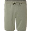 Livergy pánske teplákové šortky 100388772 zelená Livergy pánske teplákové šortky 100388772 zelená