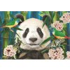 Puzzle Anatolian Puzzle Panda v raji 260 dielikov (3335) Puzzle Anatolian Puzzle Panda v raji 260 dielikov (3335)