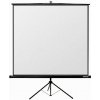 Reflecta TRIPOD Crystal 240x240cm (1:1, 131 Reflecta TRIPOD Crystal 240x240cm (1:1, 131