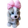Plyšový pes šedý 25 cm s mašľou Plyšový pes šedý 25 cm s mašľou