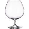 Crystal Bohemia Poháre na koňak COLIBRI 6 x 690 ml
