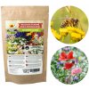 Semená Toraf - zmes trvaliek, medonosných rastlín do suchých oblastí, 500 g Semená Toraf - zmes trvaliek, medonosných rastlín do suchých oblastí, 500 g