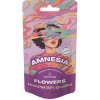 Canntropy HHCPM Flower Amnesia 97 % kvalita, 1 g – 100 g 3 gramy Canntropy HHCPM Flower Amnesia 97 % kvalita, 1 g – 100 g 3 gramy