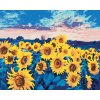 ZUTY Maľovanie podľa čísel SLNEČNICE NA POLI Rámovanie vypnuté plátno na rám Rozmer 80 x 100 cm