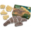 Yellow Door Kostry Pliosaur & Stegosaurus Yellow Door Kostry Pliosaur & Stegosaurus