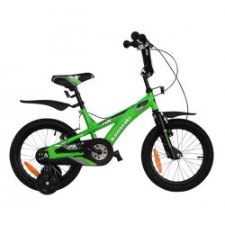 KAWASAKI Dirt 2009