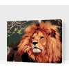 Vymalujsisam.sk Maľovanie podľa čísiel - Lev Veľkosť: 30x40cm, Rám: Bez rámu, iba zrolované plátno Vymalujsisam.sk Maľovanie podľa čísiel - Lev Veľkosť: 30x40cm, Rám: Bez rámu, iba zrolované plátno