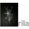 imago Obraz Harry Potter - Patronus imago Obraz Harry Potter - Patronus