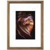 Hama 175907 rámček drevený PHOENIX, hnedý, 20x30 cm Hama 175907 rámček drevený PHOENIX, hnedý, 20x30 cm