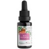 Olej po pôrode - Nobilis Tilia Objem: 20 ml Olej po pôrode - Nobilis Tilia Objem: 20 ml