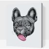 Vymalujsisam.sk Maľovanie podľa čísiel - Buldoček s vyplazeným jazykom Veľkosť: 30x40cm, Rám: Bez rámu, iba zrolované plátno Vymalujsisam.sk Maľovanie podľa čísiel - Buldoček s vyplazeným jazykom Veľkosť: 30x40cm, Rám: Bez rámu, iba zrolované plátno