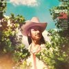 DUANE BETTS - ISLE OF HOPE (1LP) DUANE BETTS - ISLE OF HOPE (1LP)