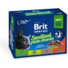 Brit Premium Cat Meat Sterilised mix v omáčke Multi 1200 g 12 x 100 g Brit Premium Cat Meat Sterilised mix v omáčke Multi 1200 g 12 x 100 g