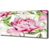 Foto obraz na plátne Pivonky 100x50 cm Foto obraz na plátne Pivonky 100x50 cm