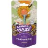 Canntropy THCD Flower Amnesia Haze, 10 % THCD, 1 – 100 g 5 gramov Canntropy THCD Flower Amnesia Haze, 10 % THCD, 1 – 100 g 5 gramov