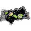 Nálepka 3D diera na stenu Kiwi a voda 95x73 cm Nálepka 3D diera na stenu Kiwi a voda 95x73 cm