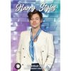 Nástenný kalendár 2024: Harry Styles (A3 29,7 x 42 cm) Nástenný kalendár 2024: Harry Styles (A3 29,7 x 42 cm)