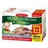 TEREZIA HLIVA USTRICOVITÁ + LAKTOBACILY so šípkami (AKCIA 1+1), cps 60+60 zadarmo (120 ks) TEREZIA HLIVA USTRICOVITÁ + LAKTOBACILY so šípkami (AKCIA 1+1), cps 60+60 zadarmo (120 ks)