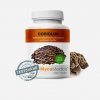 MycoMedica Coriolus 90 rastlinných tabliet 90 tablet MycoMedica Coriolus 90 rastlinných tabliet 90 tablet