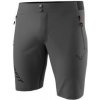 Dynafit Transalper Light Dynastretch shorts magnet/0732