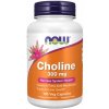 CHOLINA na pečeň, metabolizmus Now Foods Cholín 300 mg 100 kaps. CHOLINA na pečeň, metabolizmus Now Foods Cholín 300 mg 100 kaps.