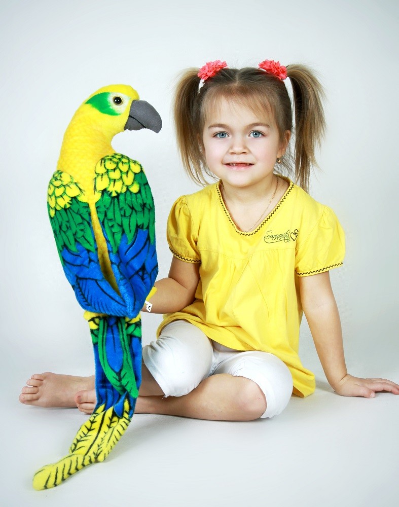Nádherný papoušek Ara žlutý