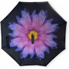 Obrátený dáždnik kvetina Obrátený dáždnik kvetina