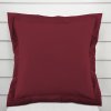 Biante Dekoračná obliečka na vankúš s lemom Rongo RG-044 Tmavé bordó 50 x 50 cm Biante Dekoračná obliečka na vankúš s lemom Rongo RG-044 Tmavé bordó 50 x 50 cm