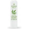 Olivolio Botanics Cannabis Oil - CBD - Lip Balm - Balzam na ústa s konopným olejom 4.5 g Botanics Cannabis Oil - CBD - Lip Balm Olivolio Botanics Cannabis Oil - CBD - Lip Balm - Balzam na ústa s konopným olejom 4.5 g Botanics Cannabis Oil - CBD - Lip Balm
