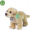 Eco-Friendly labrador stojaci 20 cm Eco-Friendly labrador stojaci 20 cm