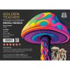Magic Mushrooms Indian Spirit Golden Teacher spóry Magic Mushrooms Indian Spirit Golden Teacher spóry