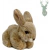 Zajac plyšový II Zajac plyšový II
