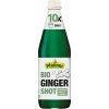 Pfanner Ginger shot BIO 0,5 l