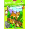 Omalovánka Zvířátka z divočiny Omalovánka Zvířátka z divočiny