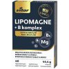 Vitar KINGS LIPOMAGNE + B komplex 60 kapsúl