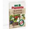 Plantella BIO čierne lepové dosky na hmyz 10 ks Plantella BIO čierne lepové dosky na hmyz 10 ks