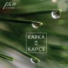 Kapka ke kapce (audio CD) (Flair) Kapka ke kapce (audio CD) (Flair)