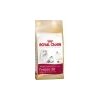 Royal Canin Feline BREED Persian 2 kg Royal Canin Feline BREED Persian 2 kg