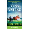 E-kniha Vlna vzteku - Linda Castillo E-kniha Vlna vzteku - Linda Castillo