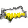 Samolepiaca nálepka fototapeta Žlté tulipány 95x73 cm Samolepiaca nálepka fototapeta Žlté tulipány 95x73 cm