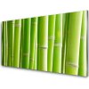 Obraz na akrylátovom skle Bambus stonka kvet rastlina 100x50 cm Obraz na akrylátovom skle Bambus stonka kvet rastlina 100x50 cm