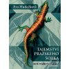 Tajemství pražského šotk… (Eva Hudečková) Tajemství pražského šotk… (Eva Hudečková)