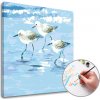 Maľovanie podľa čísel ČAJKY – stredná náročnosť 50x50 cm - na ráme (Sada na maľovanie podľa čísel ARTMIE) Maľovanie podľa čísel ČAJKY – stredná náročnosť 50x50 cm - na ráme (Sada na maľovanie podľa čísel ARTMIE)