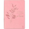 Biblia Everyday Bible for Women Biblia Everyday Bible for Women