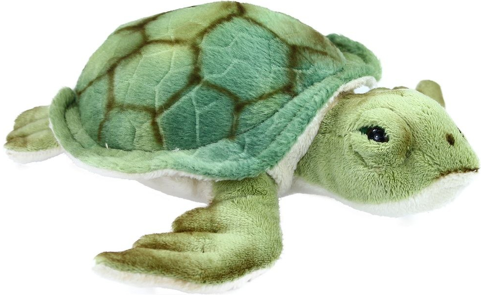 Rappa vodná korytnačka 20 cm