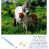 RealG RC-K-264 Maľovanie podľa čísel s rámom 40 x 50 cm, Kone RealG RC-K-264 Maľovanie podľa čísel s rámom 40 x 50 cm, Kone