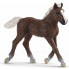 Schleich 13899 Zvířátko hříbě černé lesní Schleich 13899 Zvířátko hříbě černé lesní