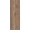 Classica LIGHTMOOD HONEY GRES SZKL. STRUKT. 20X60 dlažba Classica LIGHTMOOD HONEY GRES SZKL. STRUKT. 20X60 dlažba