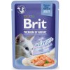Kapsička Brit Premium Cat Delicate Fillets in Jelly with Salmon 85 g Kapsička Brit Premium Cat Delicate Fillets in Jelly with Salmon 85 g