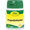 cdVet Propolis Herbal 20 g cdVet Propolis Herbal 20 g